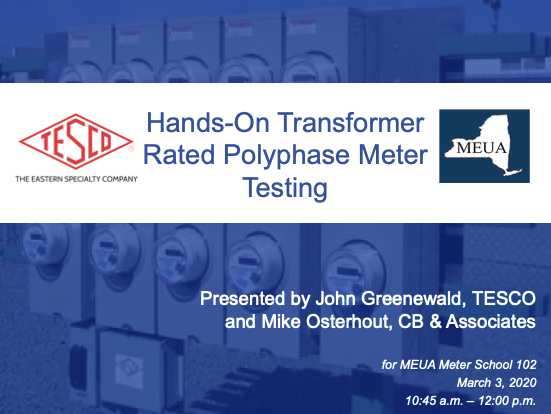 Hands-On Transformer Rated Polyphase Meter Testing