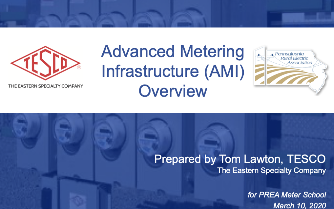 PREA_AMI Technology Overview_Tom Lawton_03.10.20