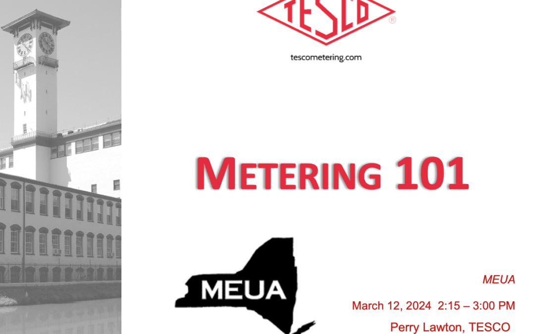 MEUA 2024_Metering 101_Perry Lawton